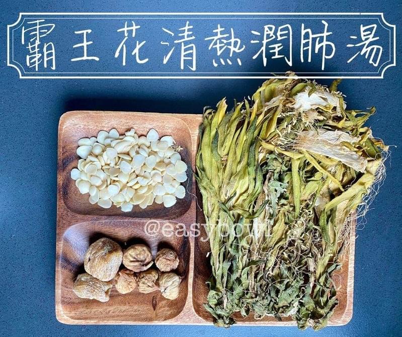 覇王花清熱潤肺湯
