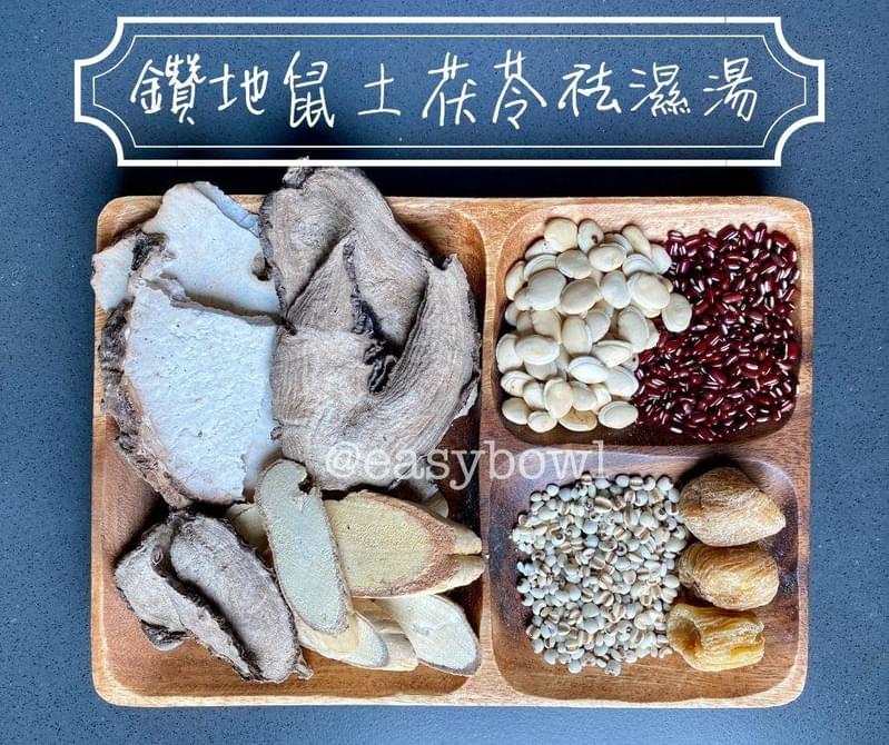 鑽地鼠土茯苓袪濕湯