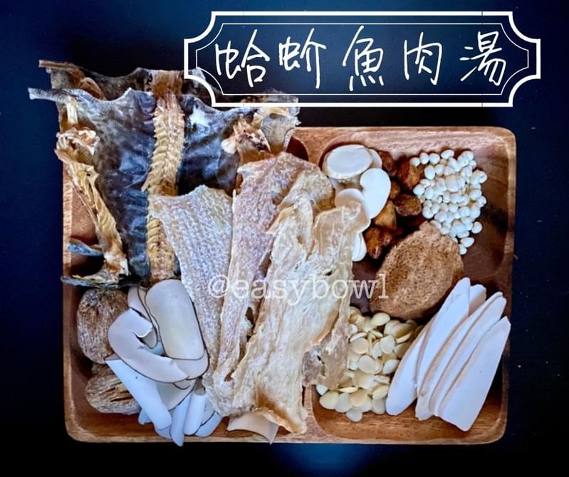 蛤蚧魚肉湯